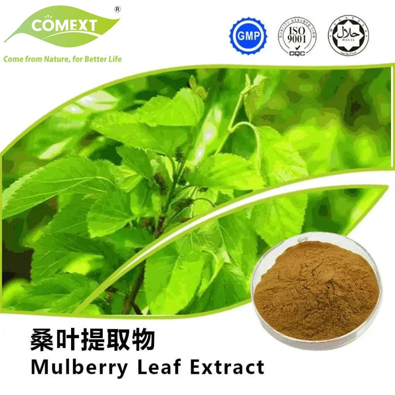 Comext ISO Mulberry Leaf Extract 20% Flavonoids Lower Blood Sugar