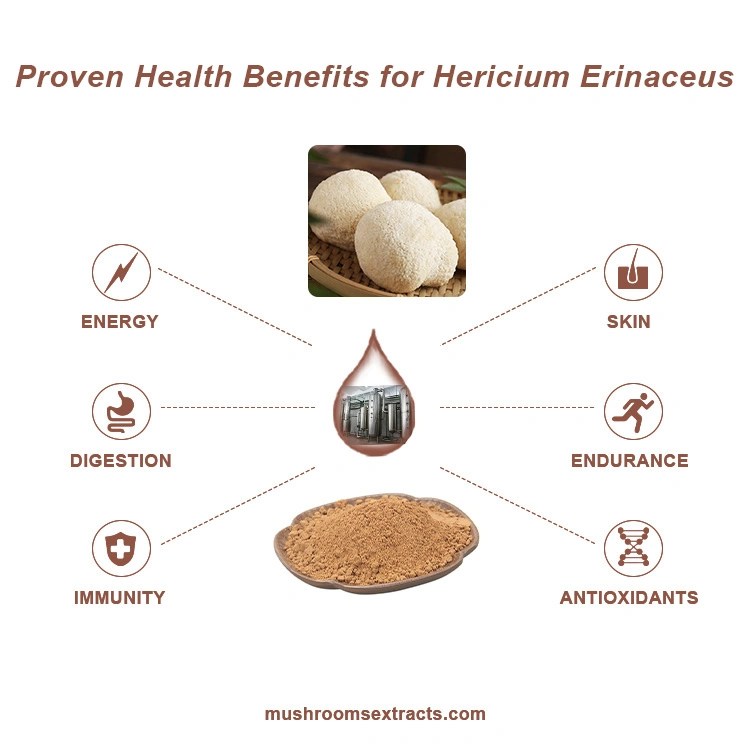 Organic Lion′ S Mane Mushroom Plant Extract Hericium Erinaceus Reishi Cordyceps Militaris Mushroom Herbal Powder