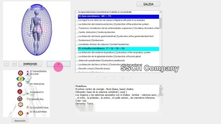 Медицинское диагностическое оборудование Chakra Machine 8d Nls Анализатор